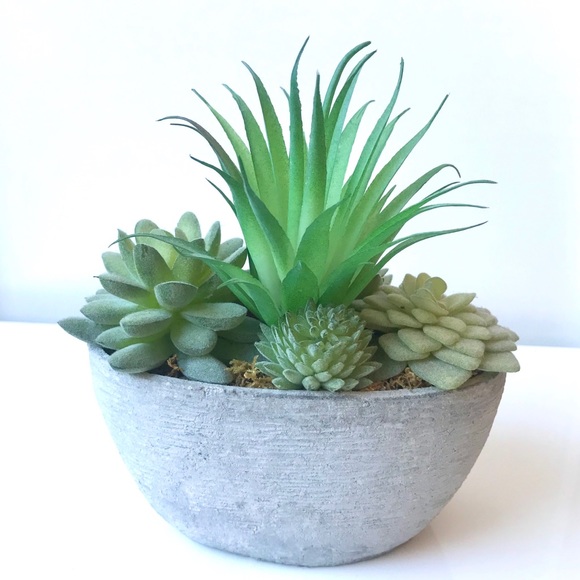 Other - Faux Succulents in Decorative Pot